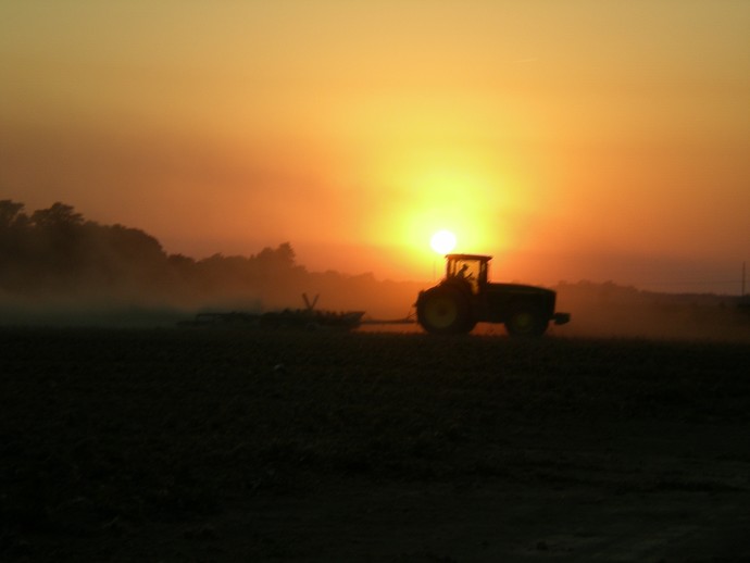 Farming Photo