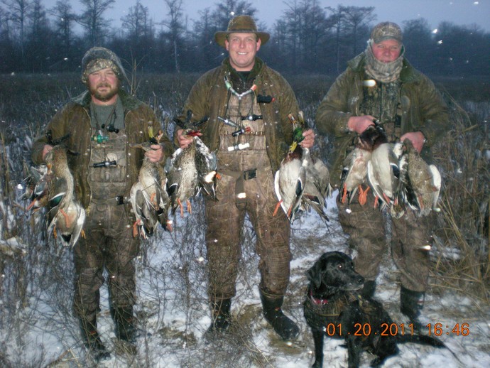 Duck Hunting Photo